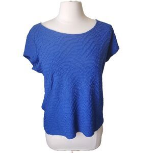 [EUC] Liz Claiborne Career XL Short sleeved shirt with textured rib (royal blue)